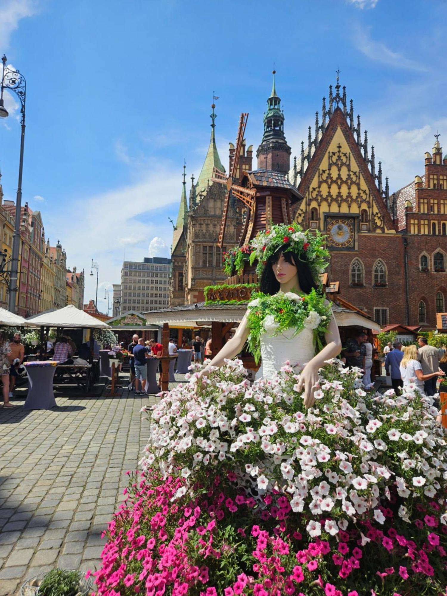 Apartamenty Hexus - Ofiar Oswiecimskich - Wroclaw Centrum Rynek — Zdjęcia 3